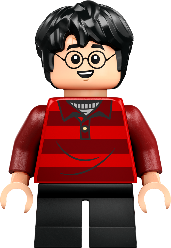 LEGO - Harry Potter TM - Vindelhuset (76437)