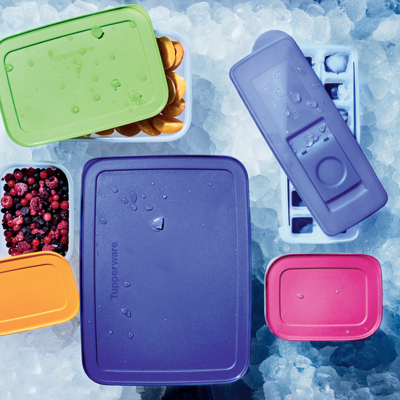 Eiskristall 1 l Flacher Gefrierbehälter für längliche Lebensmittel wie Möhren, Hähnchenschenkel und vieles mehr