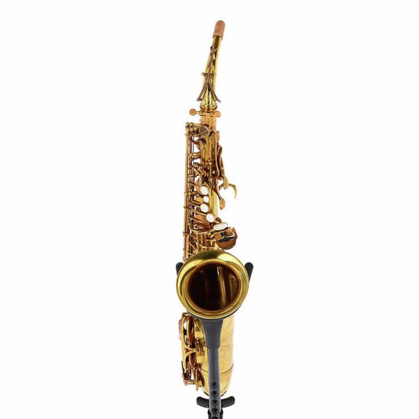 Forestone Alto Sax GX Cognac Vintage