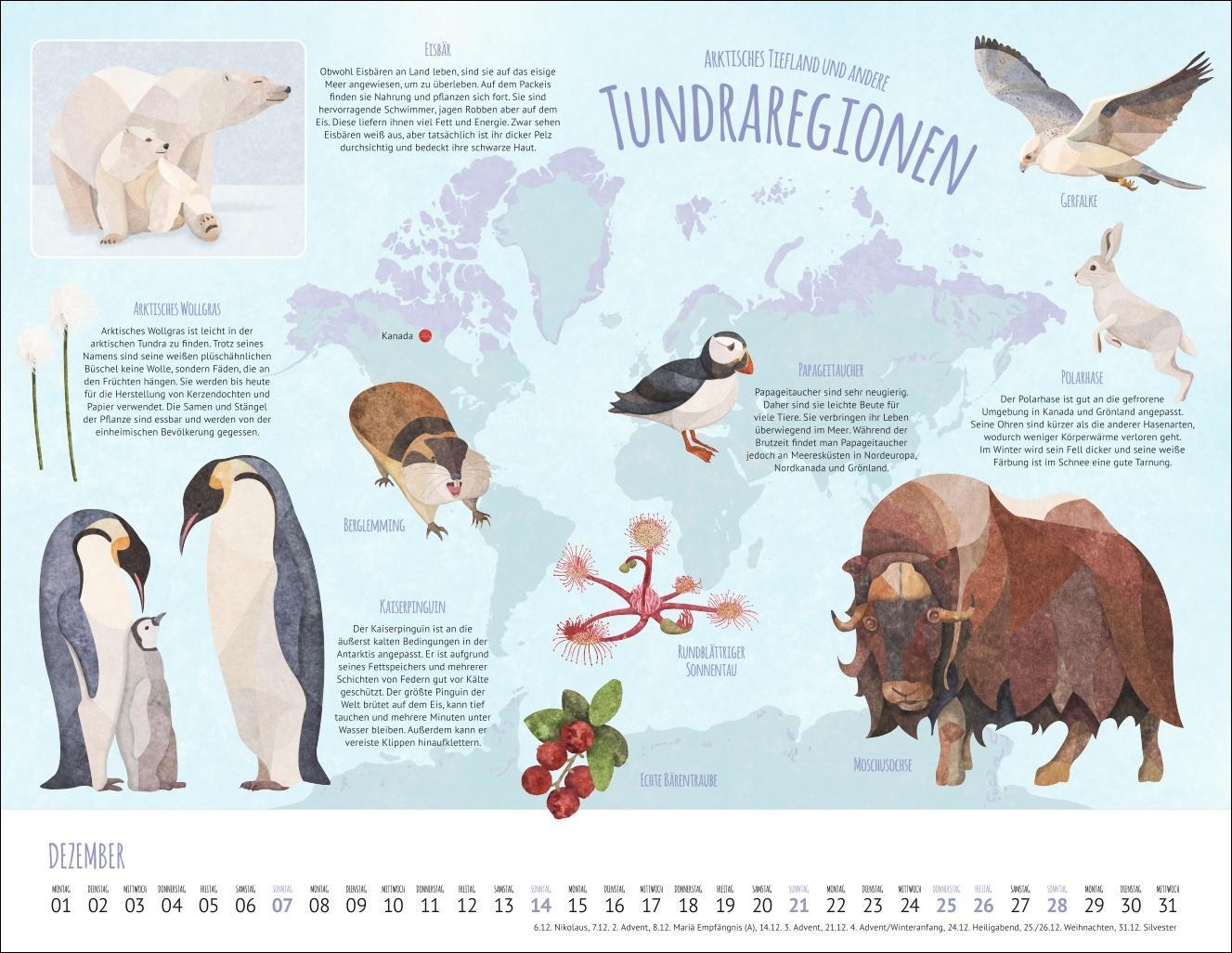Wo Tiere und Pflanzen zu Hause sind Kalender 2025 - Biome der Welt