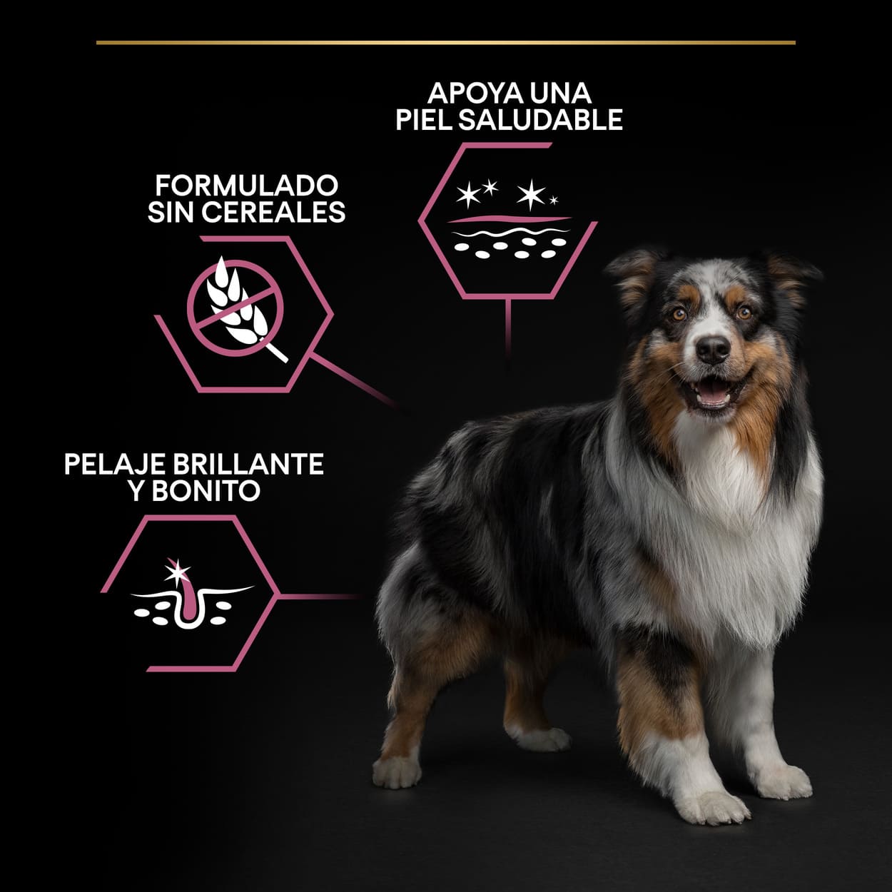 Ração Pro Plan Adult Medium Sensitive Skin com Salmão para cães.