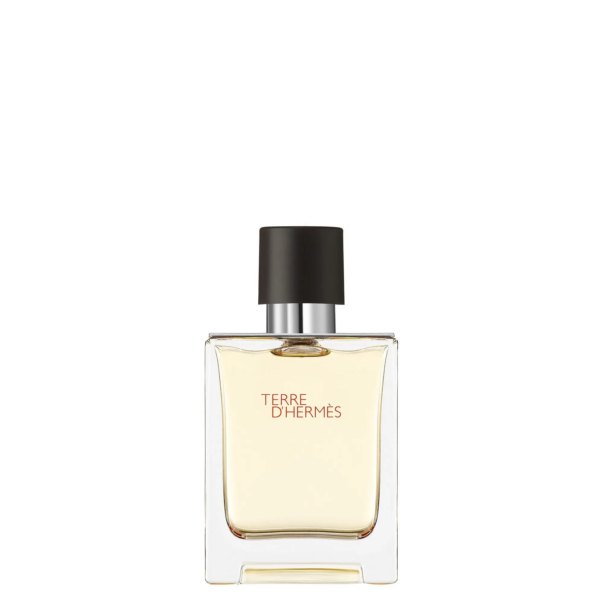 Hermès - Terre d'Hermès Eau de Toilette- Eau de toilette