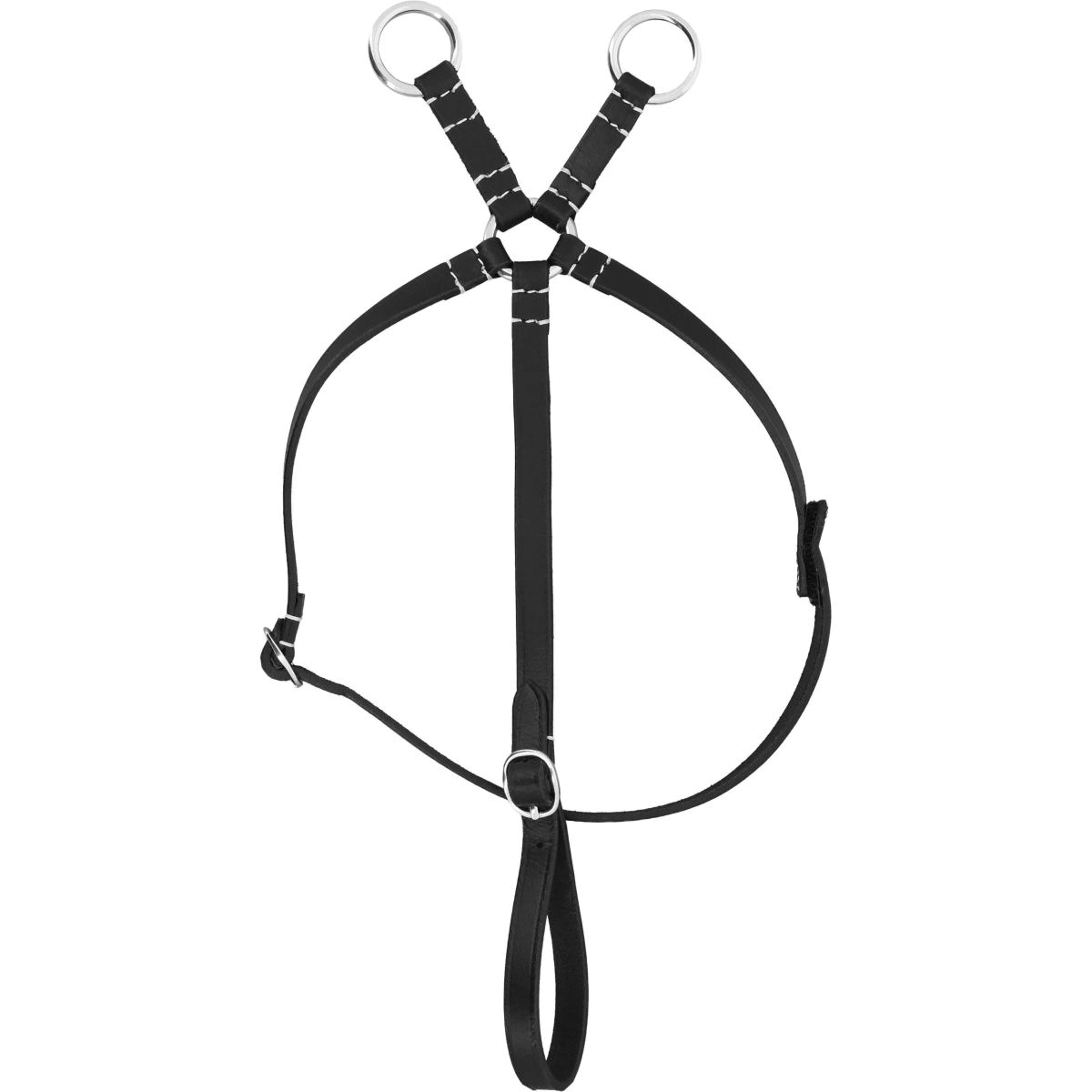 EQUITHÈME Martingaal Pony Academy Zwart