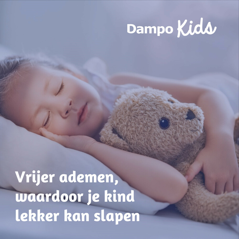 3x Dampo Inhalatiepleisters 6 sachets