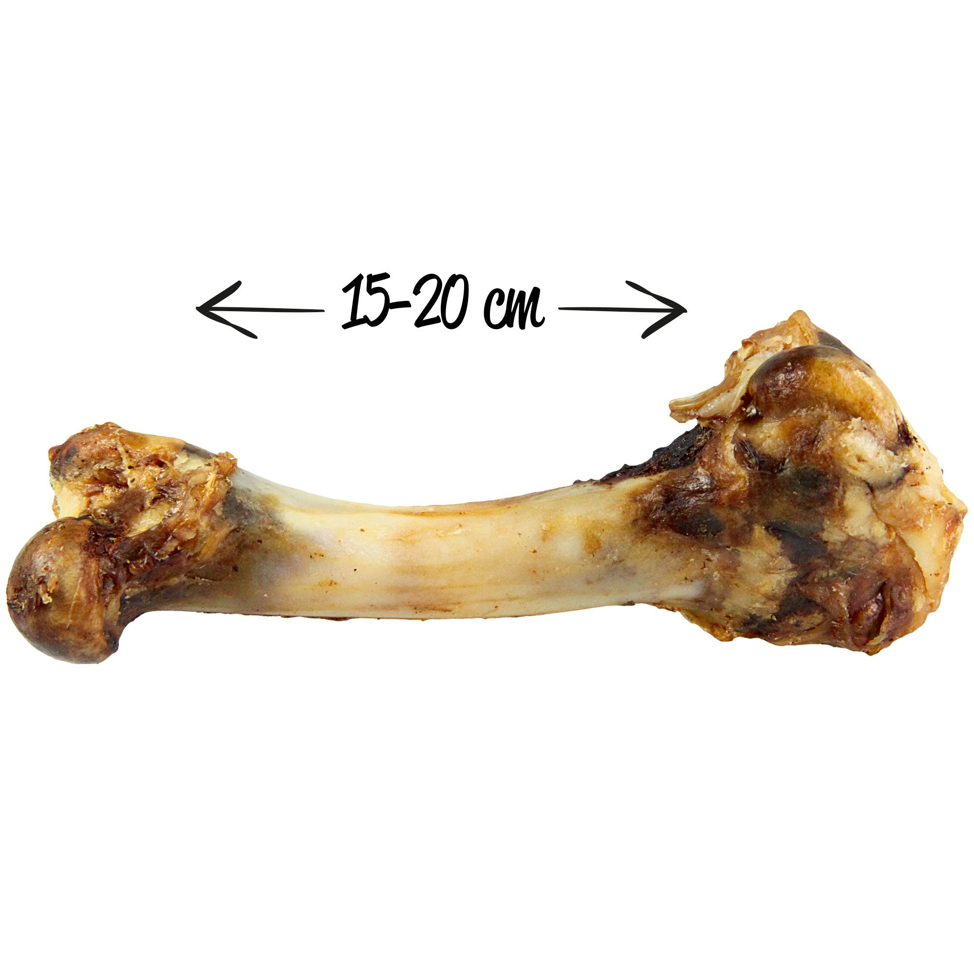Schecker Kauknochen - Lammknochen - getrocknet