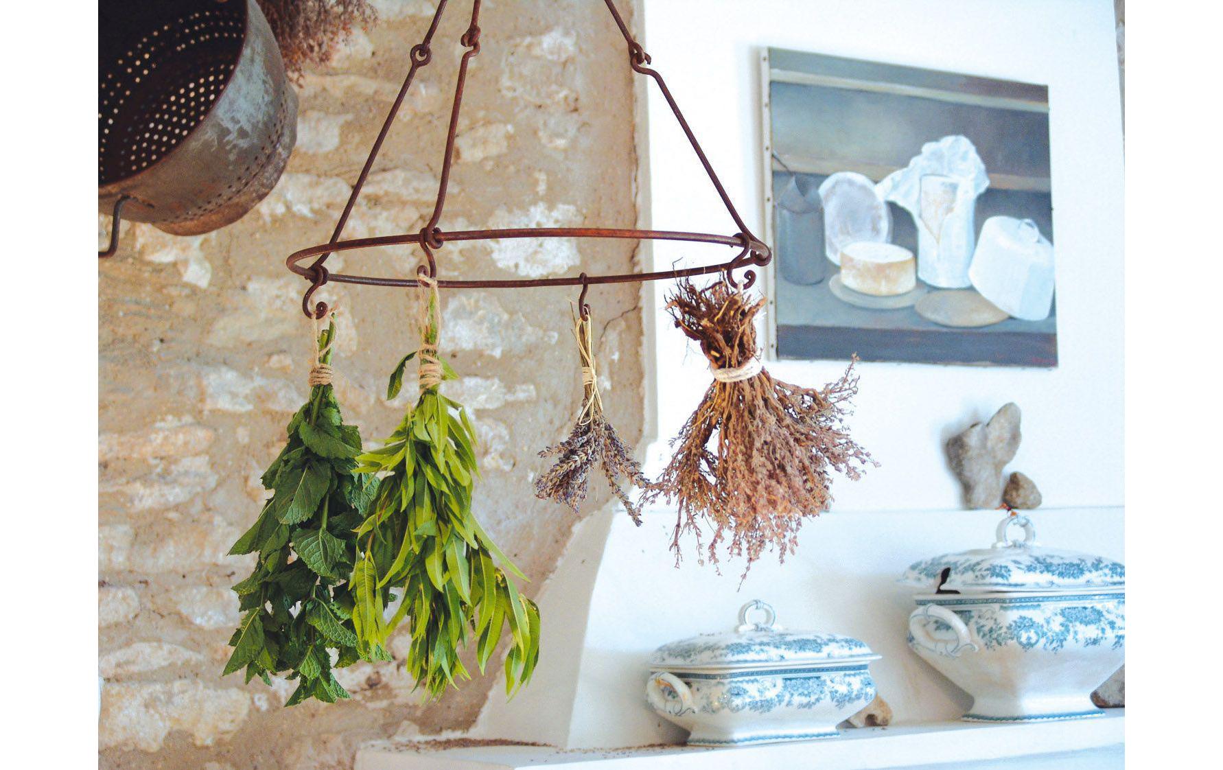 Hängedekoration Blumen- und KräutertrocknerDesign-Blumen- und Kräutertrockner