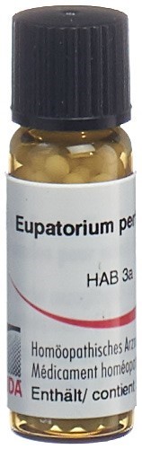 Omida Euphrasia Glob 30 C 2 g