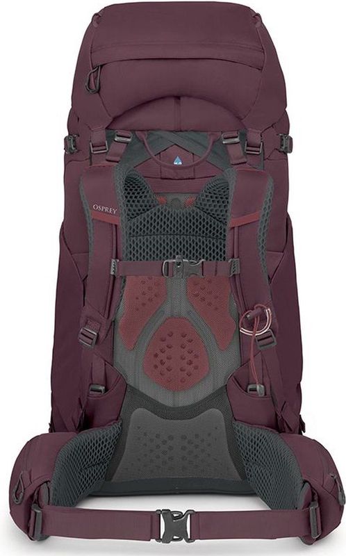 Osprey Kyte 58 Trekkingrugzak Dames Elderberry Purple