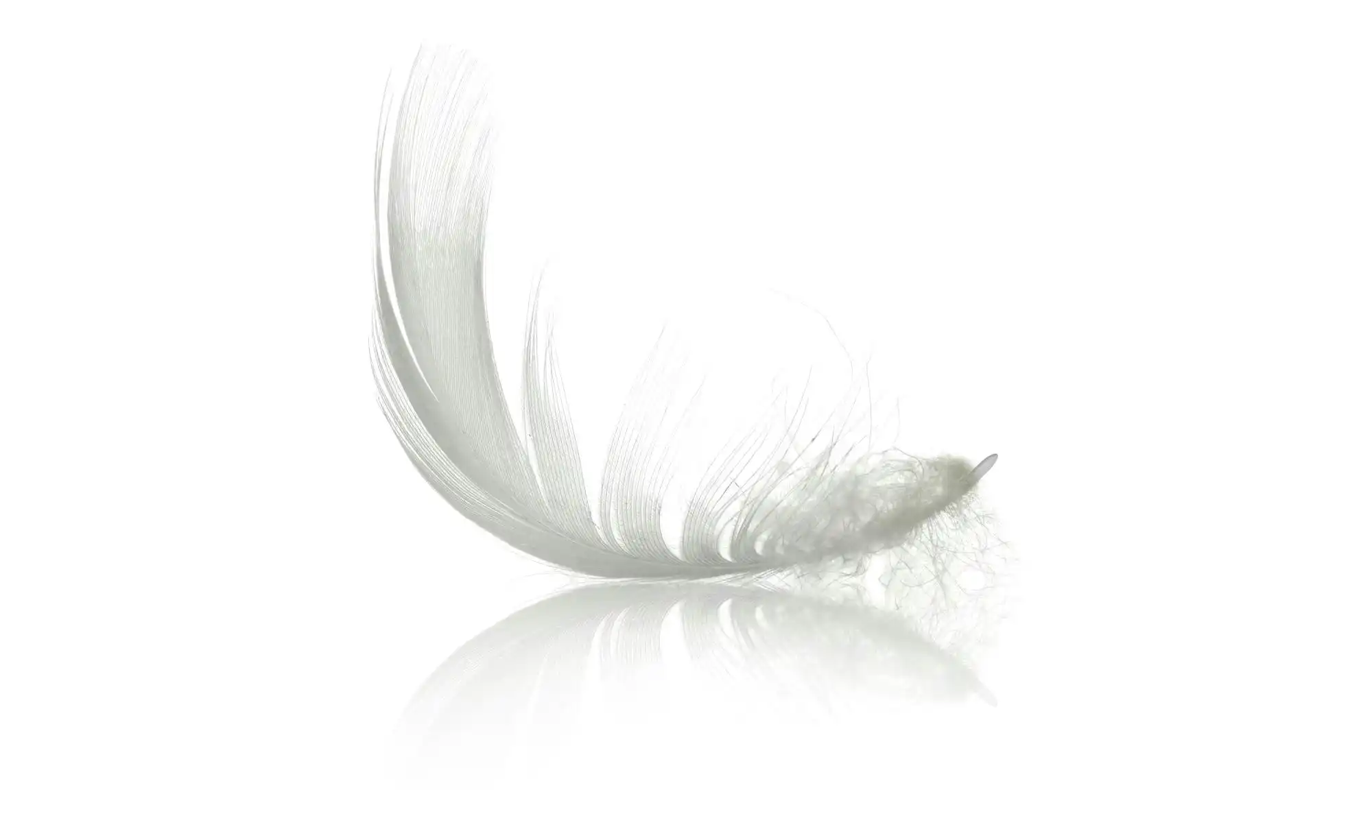 IRISETTE Steppbett Medium