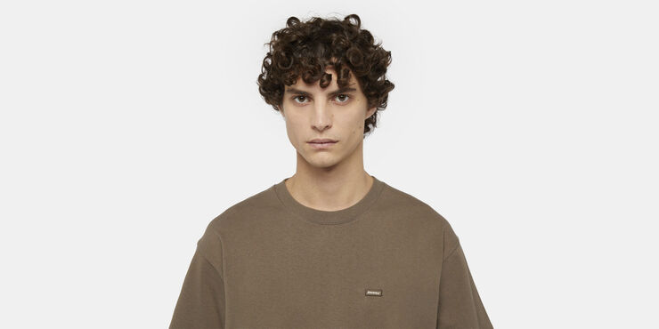 Dickies CLANCY HEAVYWEIGHT TEE SS MUSHROOM Mushroom