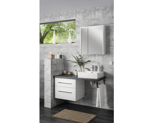 FACKELMANN Denver spiegelkast, 60 x 16 x 68,5 cm, wit, 2-deurs, LED, IP20