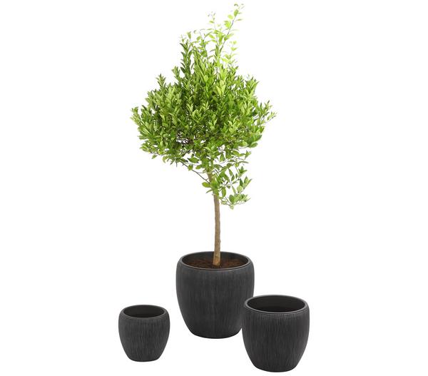 Dehner Polyresin-Pflanzvase Tokio in