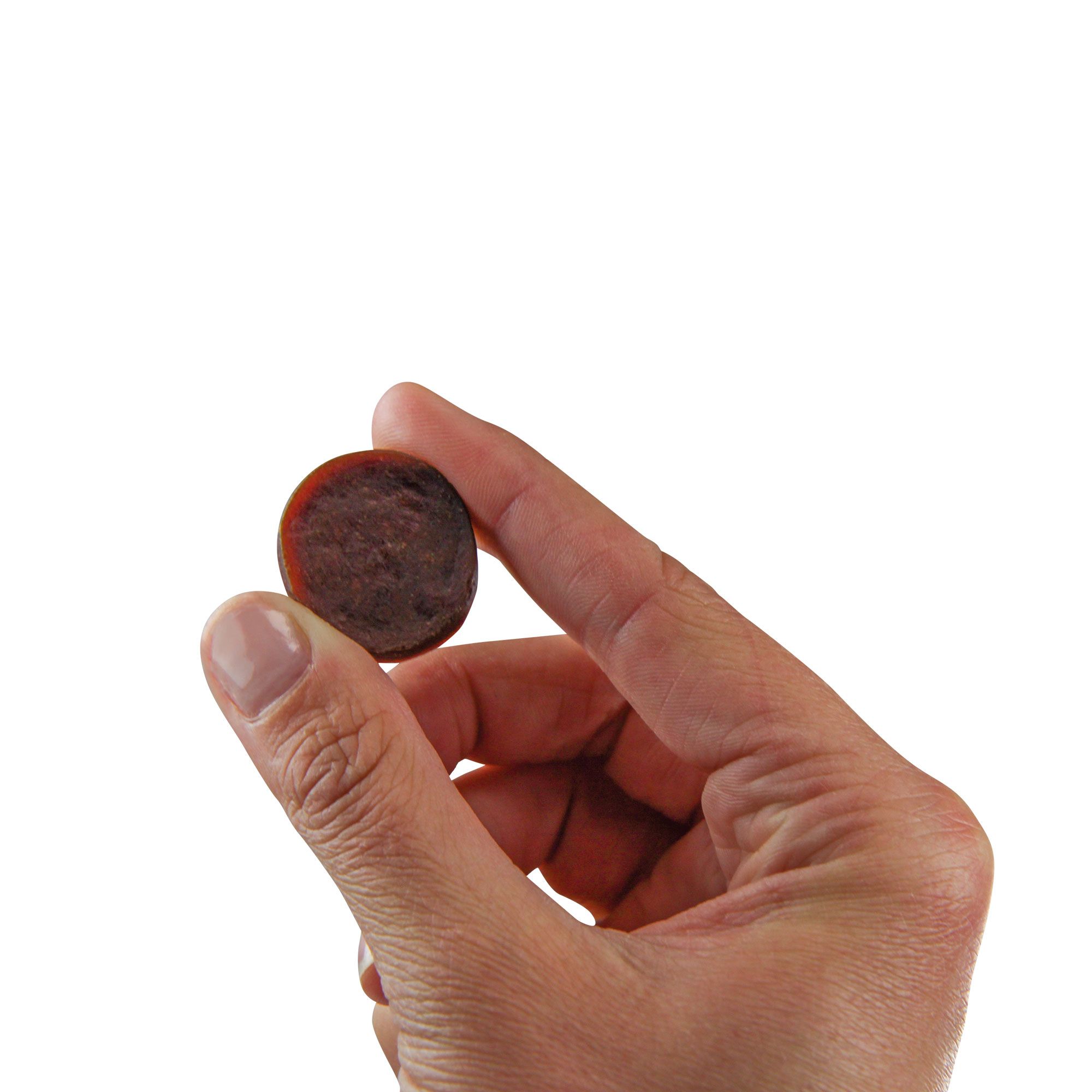Schecker Hundesnack - WILD Tuna Thunfischtaler
