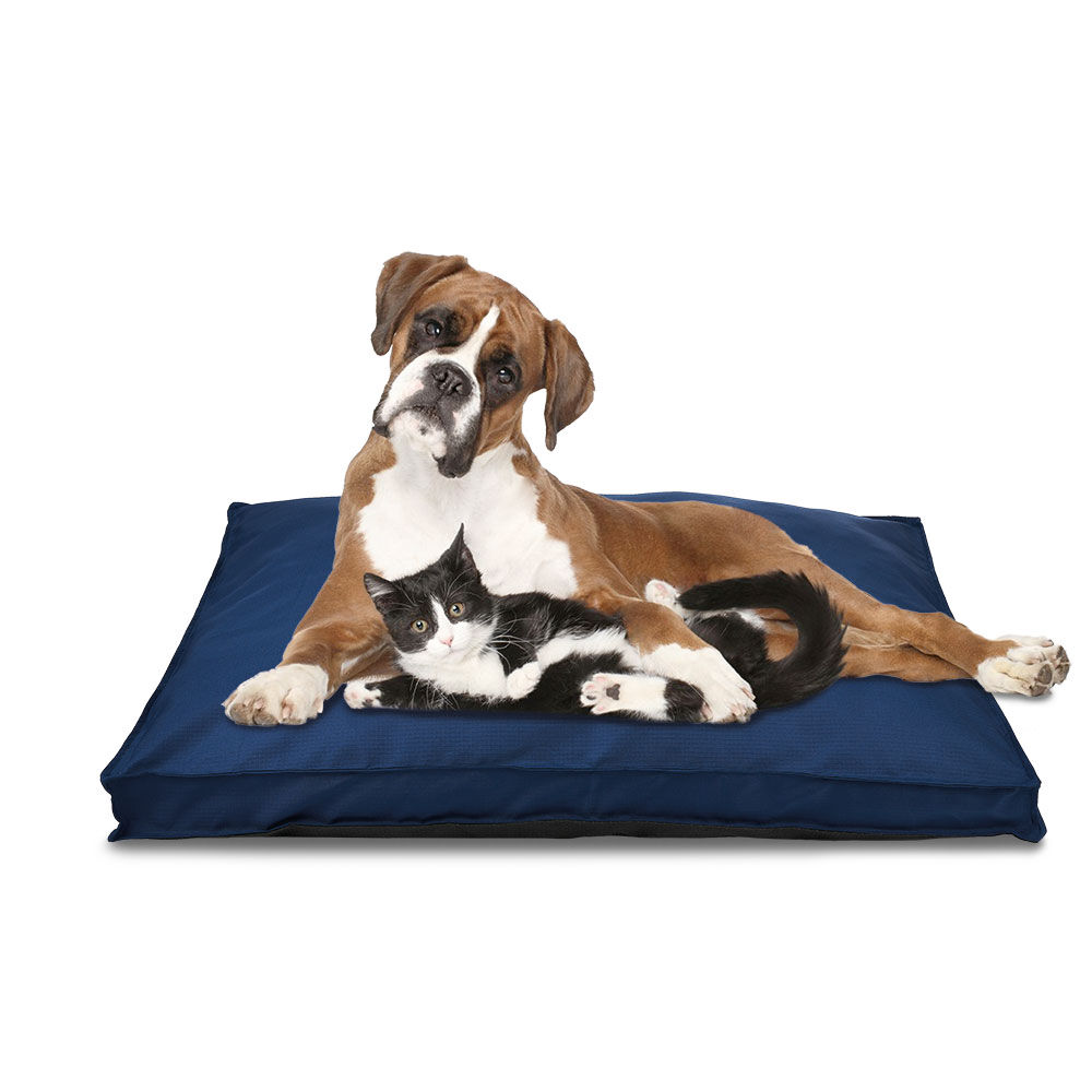 Matelas pour chien imperméable bleu