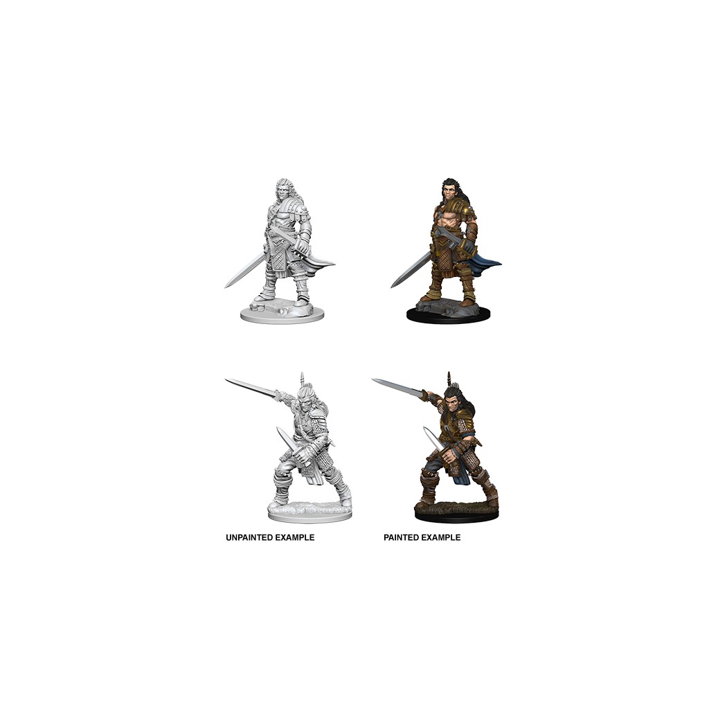Pathfinder Deepcuts Unpainted Miniatures: Human Male Fighter