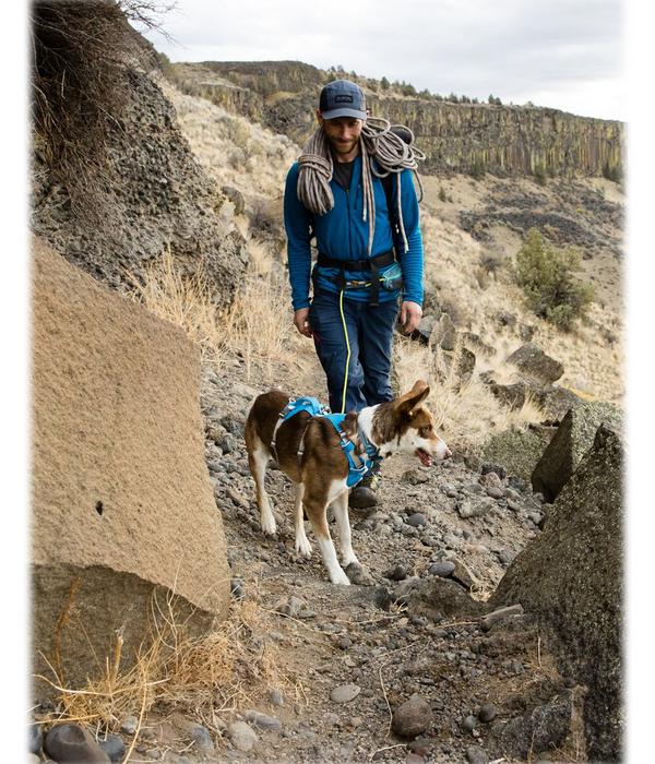 RUFFWEAR® Hundegeschirr Flagline Harness 2.0