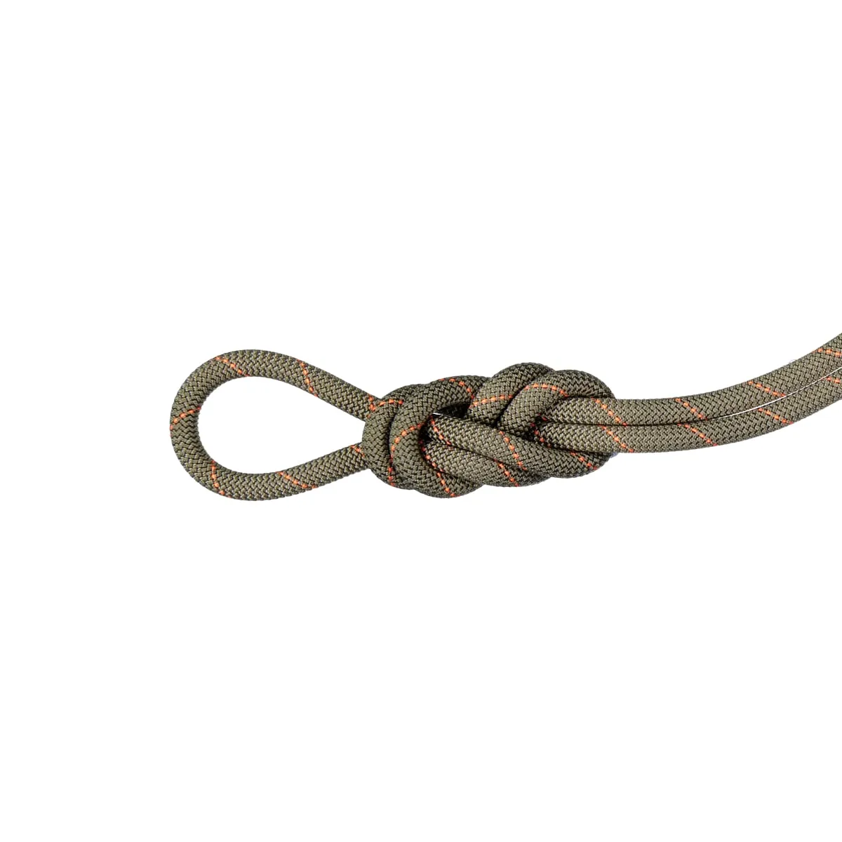 Mammut 9.9 Gym Workhorse Classic Rope 50m Boa