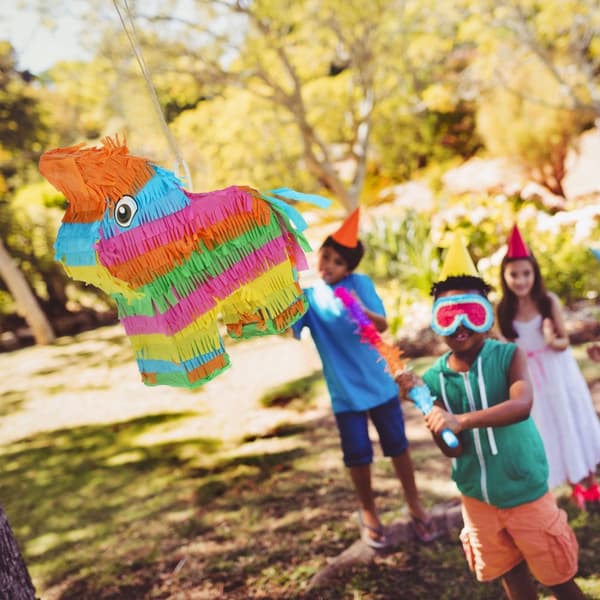 Pinata-esel