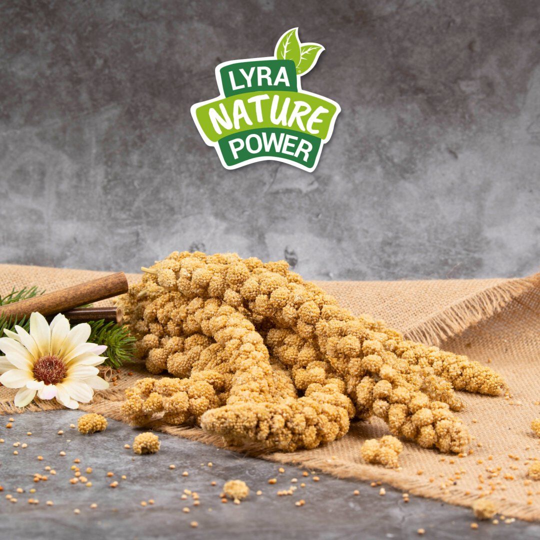 Lyra Pet® Kolbenhirse gelb