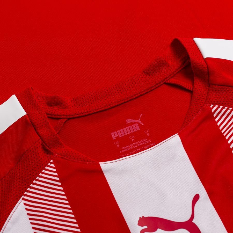 PUMA Maillot teamLIGA - Rouge/Blanc