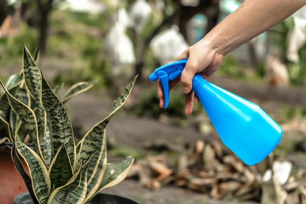 Flacon pulvérisateur - suan - multiusages pour le jardin et la maison - contenance : 1000 ml
