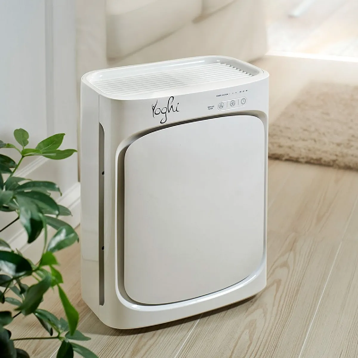 Yoghi AIRBLUEV1