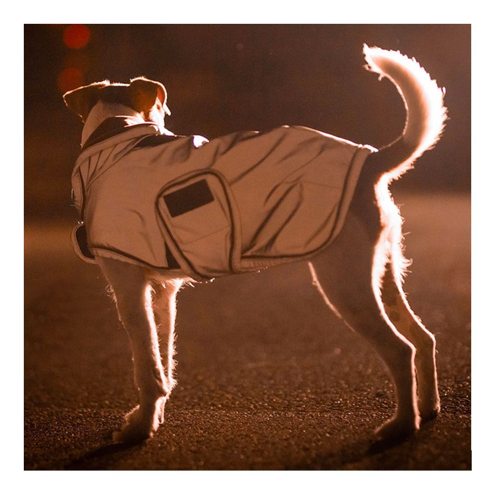 Kentucky REFLECTIVE & WATER REPELLENT - Chemise imperméable pour chien repellent silver