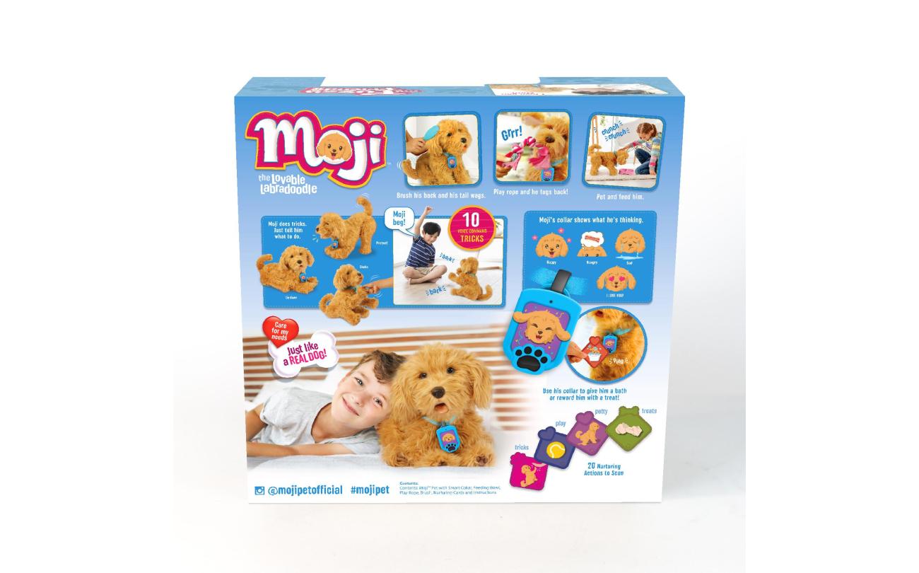 Moji mijn lieve labradoodle