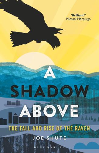 A Shadow Above: The Fall and Rise of the Raven (Paperback)
