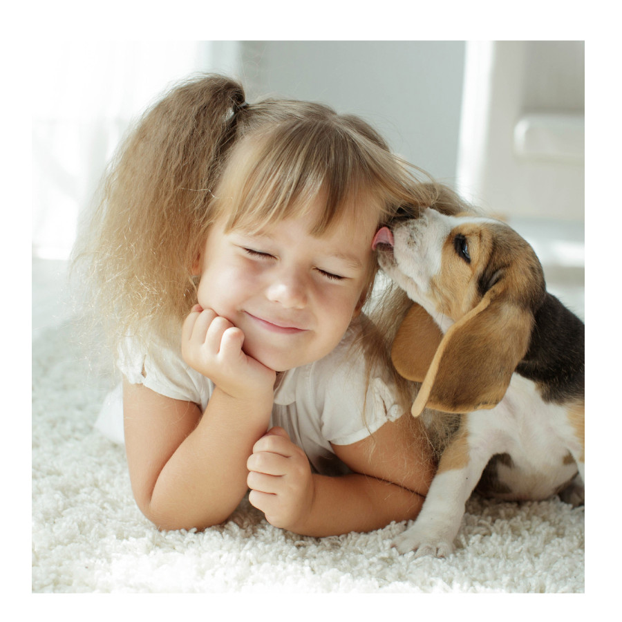 Spray antiparasitário Beaphar Fiprotec para cães e gatos.