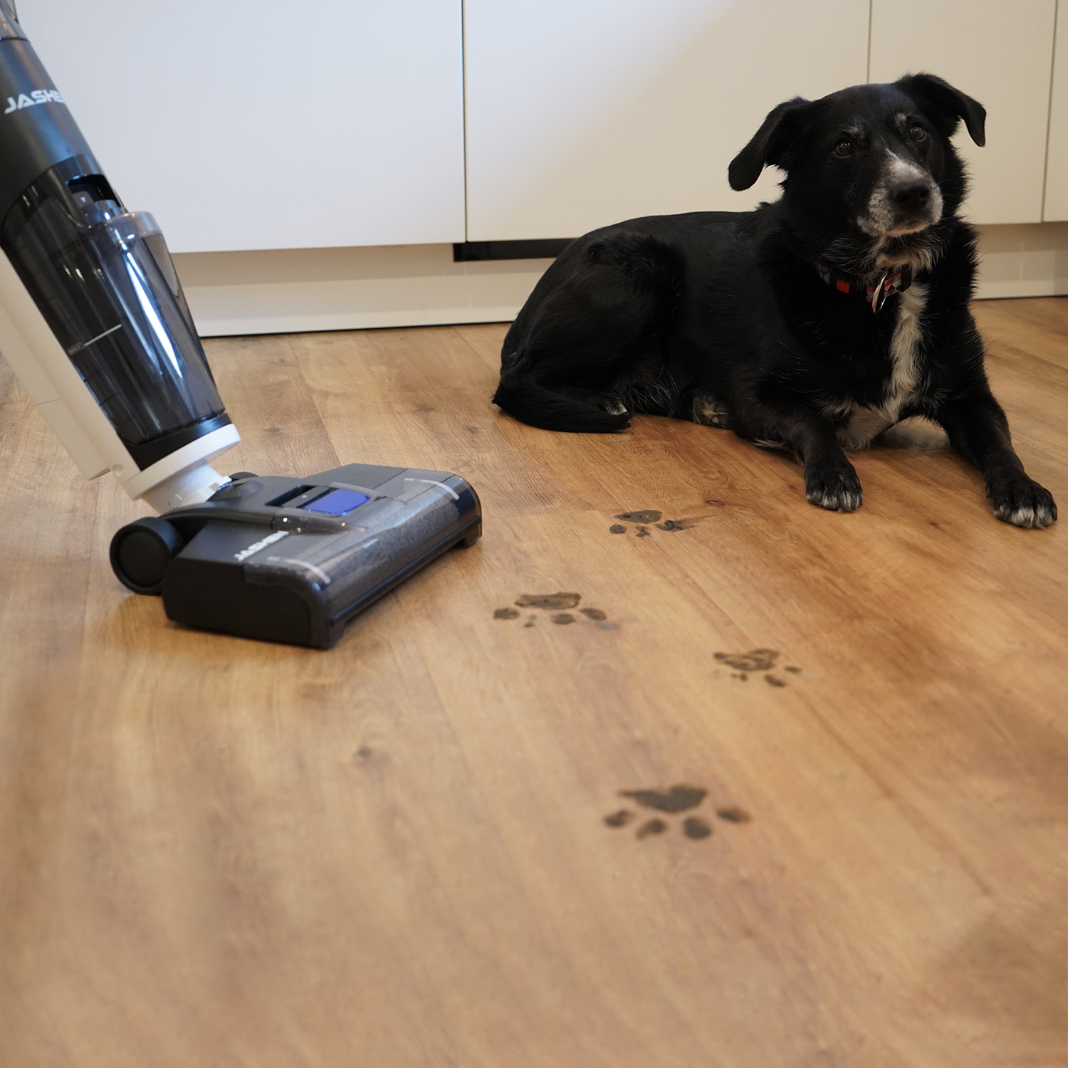 JASHEN F12 Wet/dry vacuum cleaner with self-cleaning function