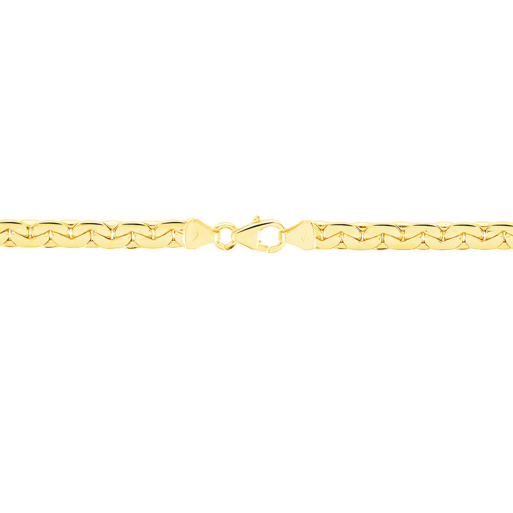 Collier Vannessa Maille Haricot  Or Jaune