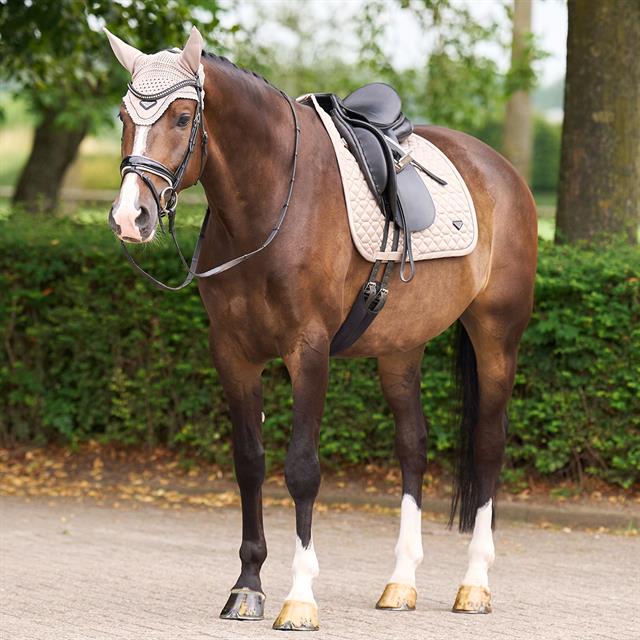 Zadeldek euro-star ESCato Dressuur Lichtbruin