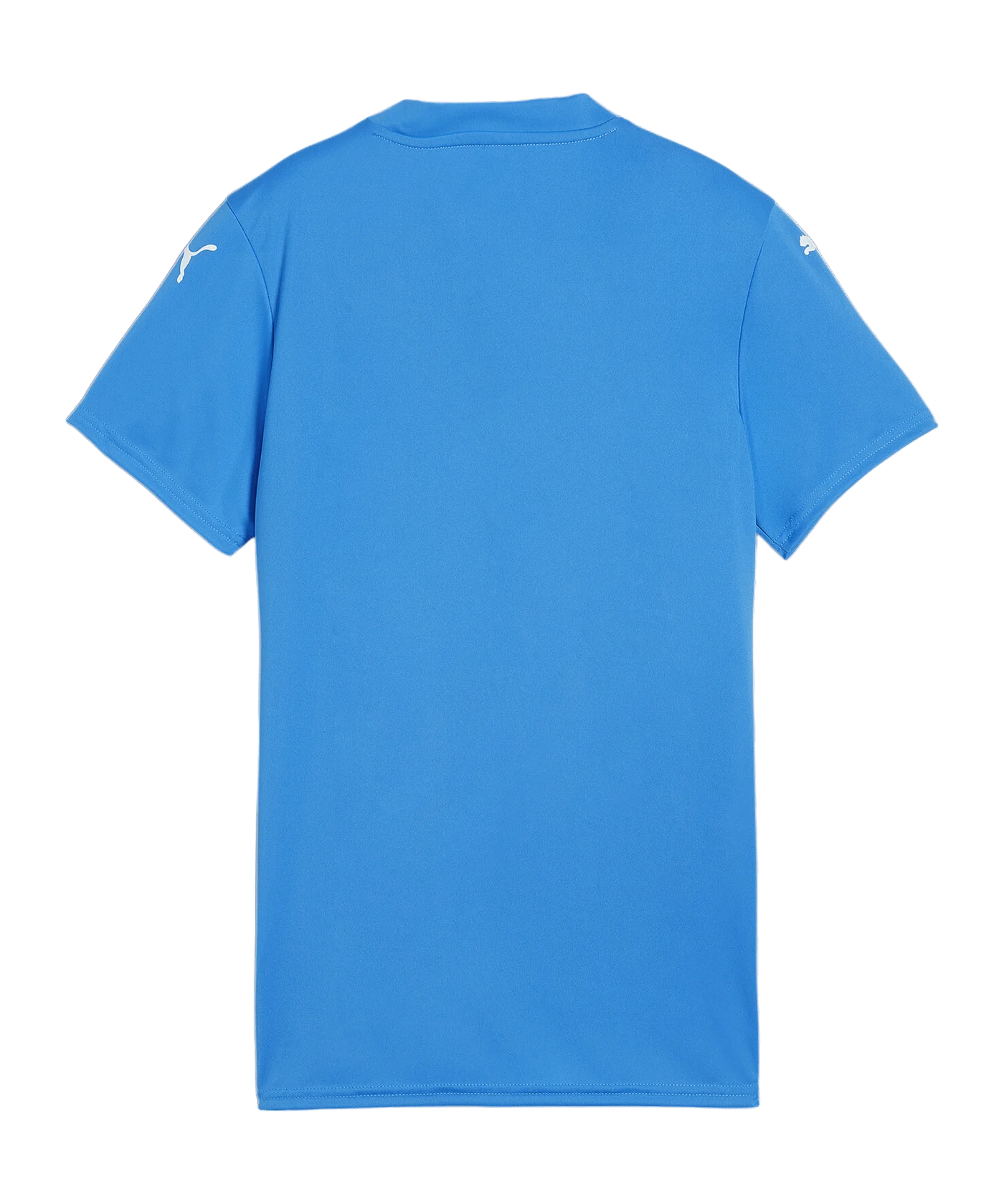 PUMA teamGLORY Trikot Damen Blau F02