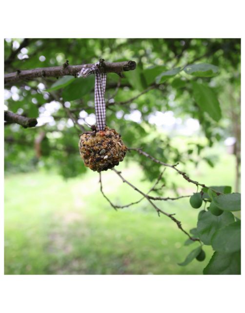 Best For Birds Dhz Vogelvoer Dennenappels - Voer - 6.7x6.7x7.2 cm 430 g
