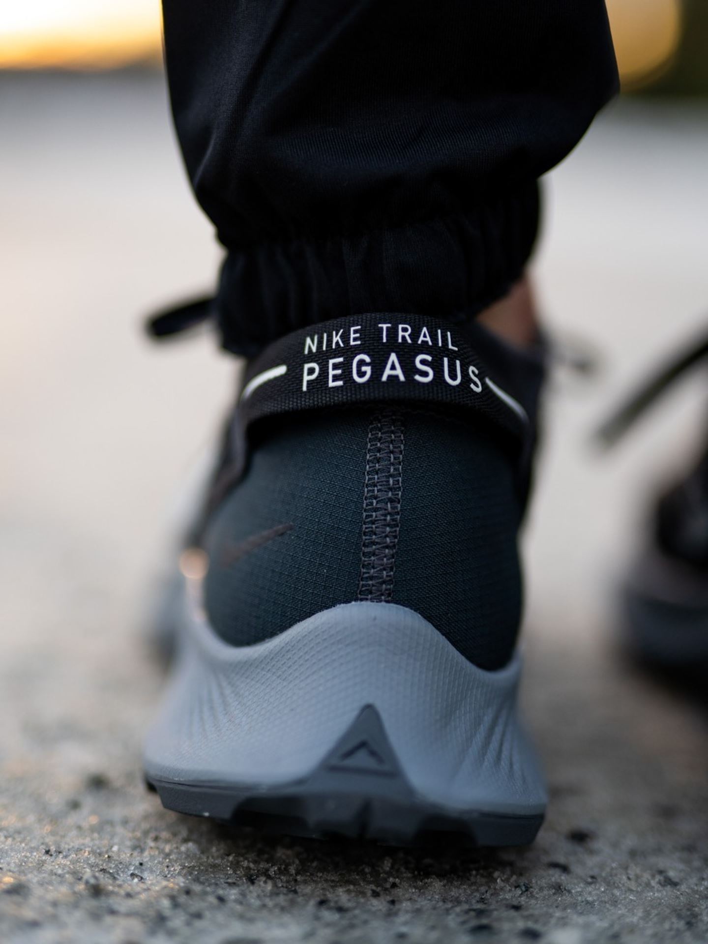 Pegasus Trail 2