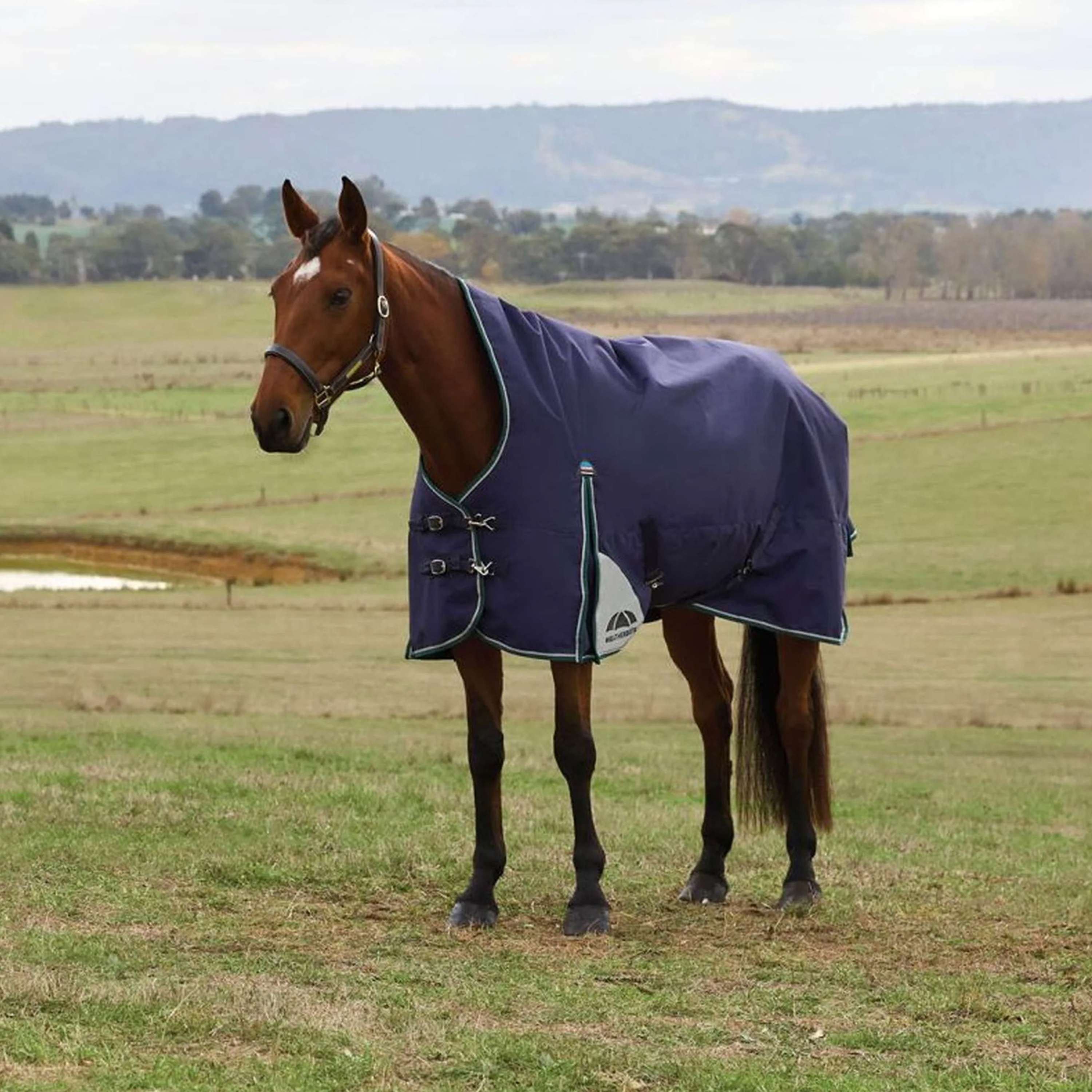 WeatherBeeta ComFiTec Plus Dynamic Turnout High Neck 100g Navy/Forest