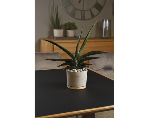 Soendgen keramiek en houten bloempot, Ø 23 cm, 23 x 23 x 20 cm, grijs