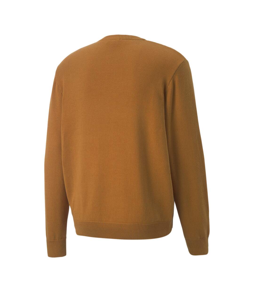 Pull Orange Homme Puma Players Lounge