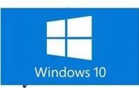Windows 10 IoT Ent. LTSC Value | MUU-00028