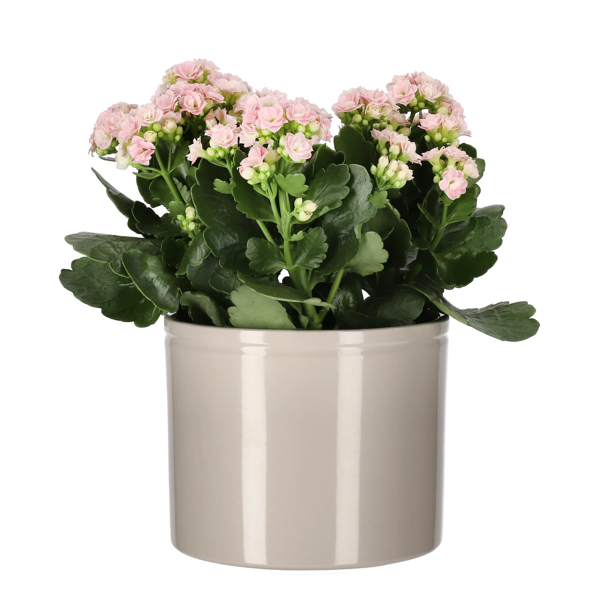 Potte Ada Ø17 cm