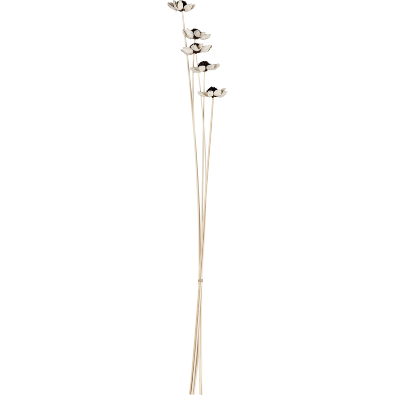 EGLO Trockenblume Alabel, 70 cm, braun