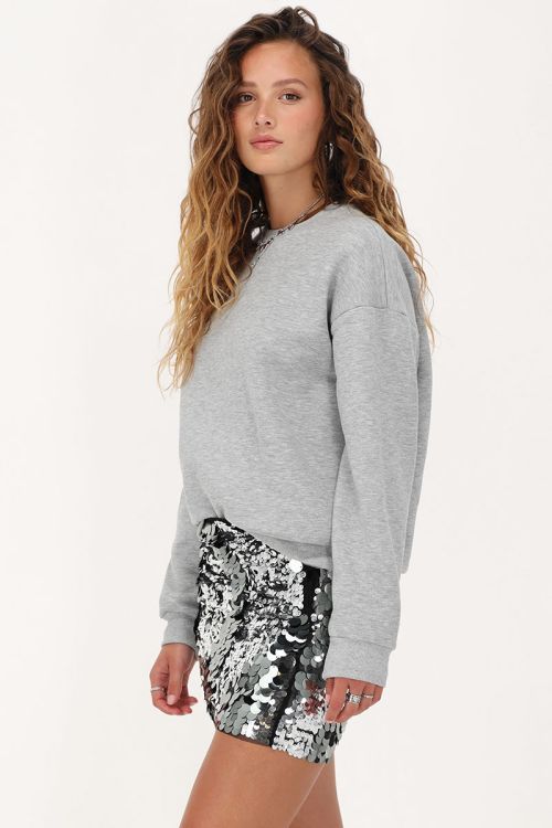 Zilverkleurige mini rok met pailletten