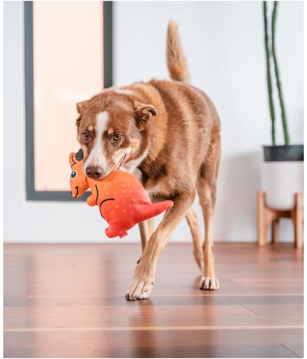 Red Dingo Hundespielzeug DURABLES Toys