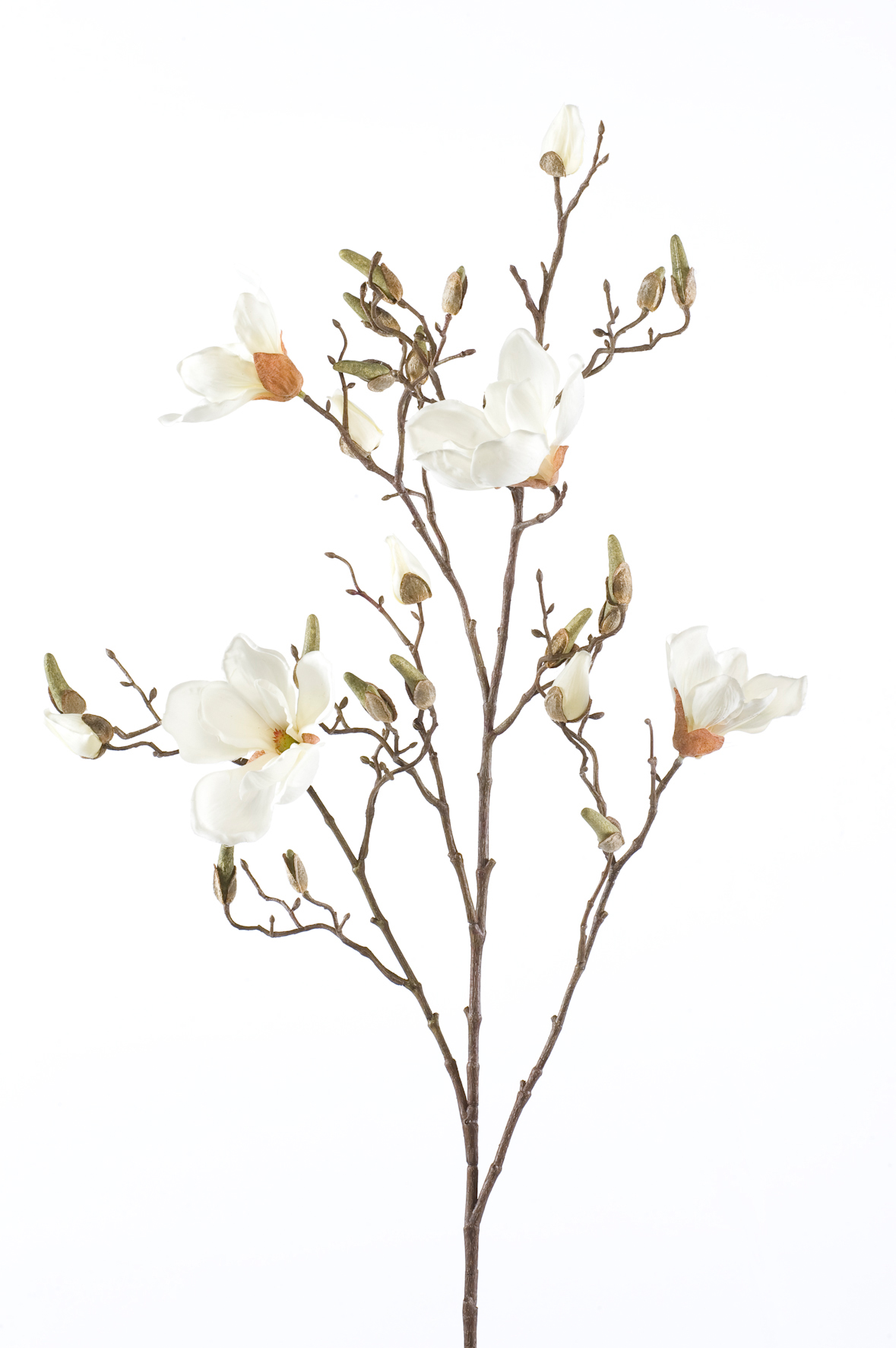 Magnolia branch cream 105 cm