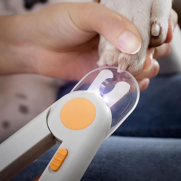Kloklipper med LED-lys for hund og katt