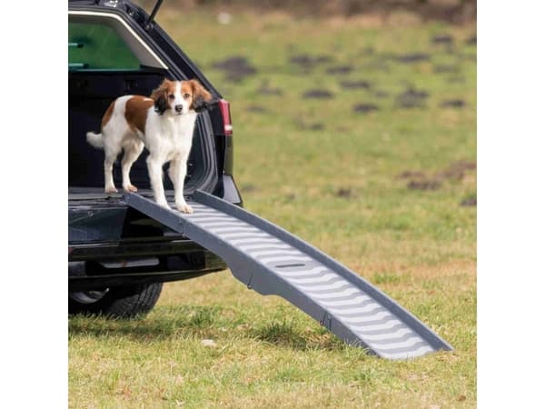 Trixie Ramp, 3-way foldable, plastic, 39 × 150 cm, grey