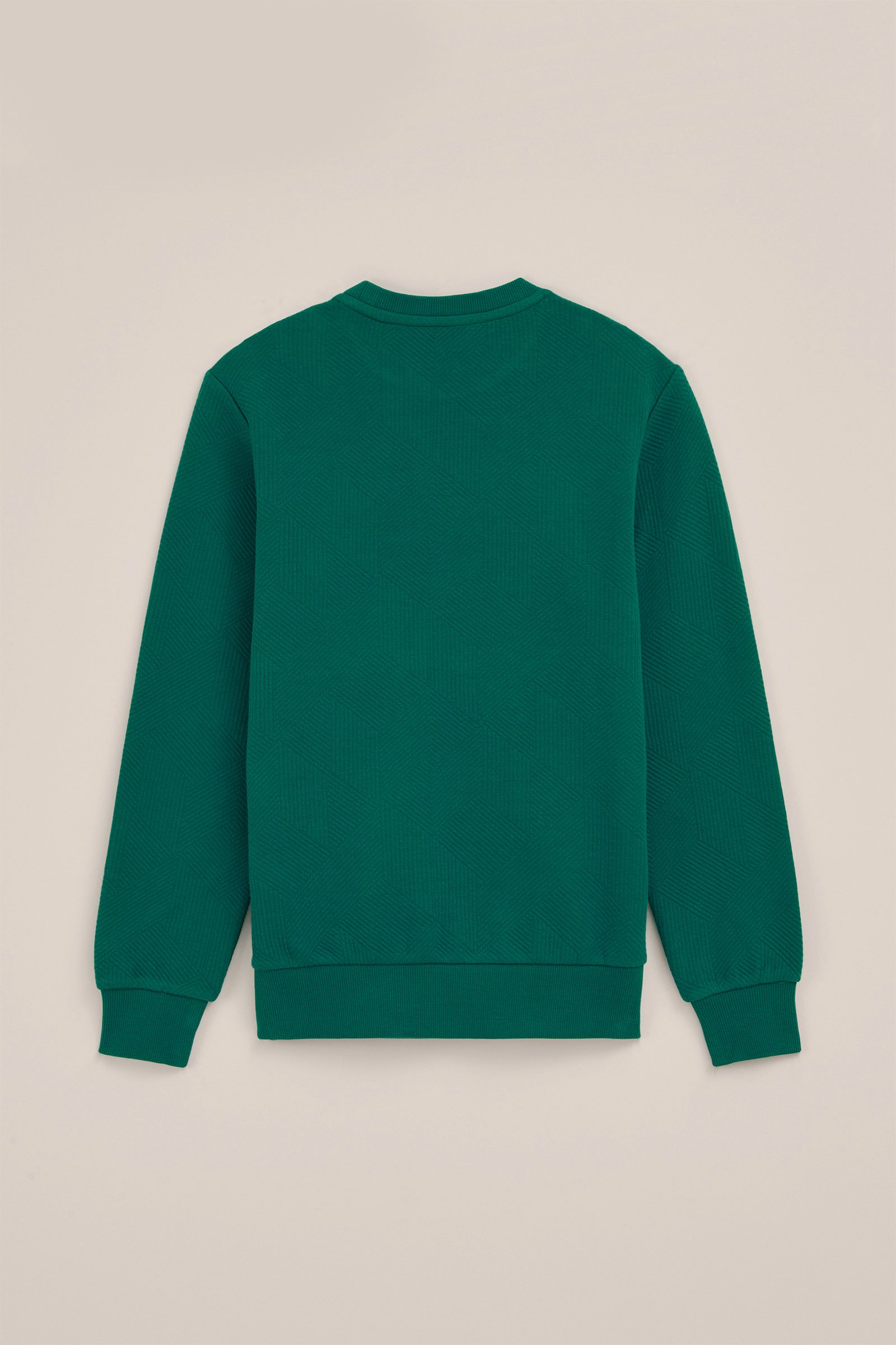 Jongens sweater met structuur Blue Ridge Felgroen