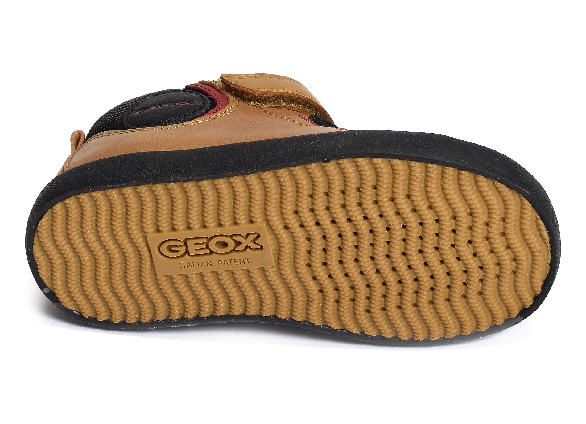 B gisli bc camel