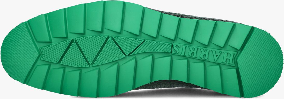 groene harris lage sneakers 2892